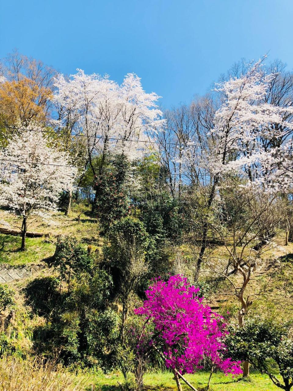 Ryutakuzenji 宿坊 Takasaki Exteriér fotografie